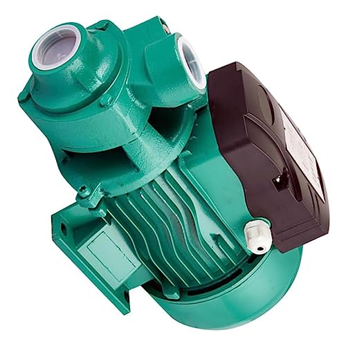 Lurrose Hochdruck Selbstansaugende Klarwasserpumpe mit Solar und Batterieantrieb Leise Stabile Garten und Landwirtschaftsbewässerung Förderhöhe von Lurrose
