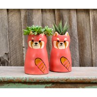 Keramik Raccoon Waschbär Übertopf Pflanzentopf Keramik Raccoon Waschbär Übertopf Pflanzentopf von LushSucculentsAU