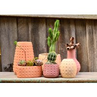 Moderne Strukturierte Keramik Seeigel Inspiriert Topf Übertopf, Vase Und Gefäß von LushSucculentsAU