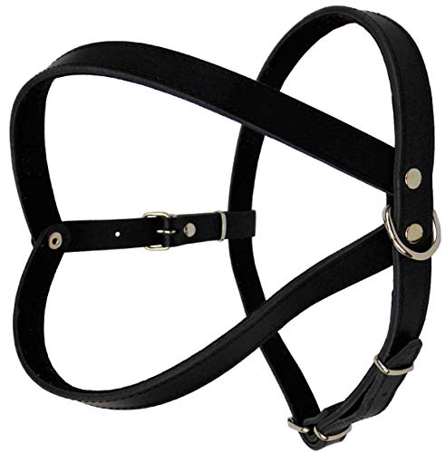 Lusy011 Geschirr Hundegeschirr, Brustkorb 64-73cm, 69-78cm, 78-87cm Echt Leder SCHWARZ NEU (Brustkorb 78-87cm/93cm) von Lusy011