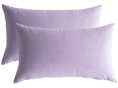 Lutanky Samt-Kissenbezüge (2 Stück) schöne rechteckige Wurfkissenbezüge weich solide dekorative Kissenbezüge für Sofa Schlafzimmer Auto 30 x 50 cm (Taro-Lila, 2 Stück) von Lutanky
