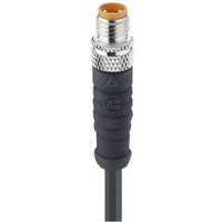 Lutronic 0810 03 300 2m Sensor-/Aktor-Anschlussleitung M8 Stecker, gerade 2m Polzahl: 3 5St. Lutronic 0810 03 300 2m Sensor-/Aktor-Anschlussleitung M8 Stecker, gerade 2m Polzahl: 3 5St. von Lutronic