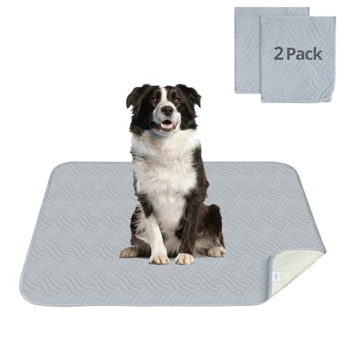 Luvore Haustier-Urinunterlage Waschbar Welpenunterlagen Matte für Hunde 2er Set Schnell Absorbierend Haustier Hygieneunterlage für Welpen Alte oder Inkontinente Hunde 92*122cm Luvore Haustier-Urinunterlage Waschbar Welpenunterlagen Matte für Hunde 2er Set Schnell Absorbierend Haustier Hygieneunterlage für Welpen Alte oder Inkontinente Hunde 92*122cm von Luvore