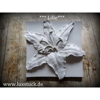 Gips Wandrelief Relief Blumen 4 Tlg. Spar Set, Dekoration Wand Wanddekoration von LuxStuck