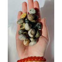 Orbicular Ocean Jasper Mini Tumbles | Meeresjaspis Polierter Trommel, Orbikeljaspis, Oj von LuxeCrystalsShop