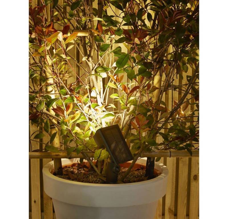 Luxform Gartenleuchte Luxform Solar Leuchte Bewegungsmelder Security Rosario, LED fest integriert, mit Bewegungsmelder von Luxform