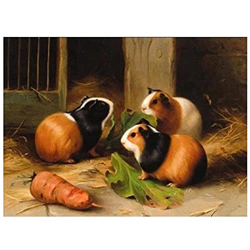 5D Diamond Painting Kits Tierisches Meerschweinchen Diamant Painting Bilder, DIY Diamant Malerei für Erwachsene, Stickerei Kreuzstich Mosaik Gemälde Handwerk Home Wall Décor Square drill,30x40cm von Luxioo