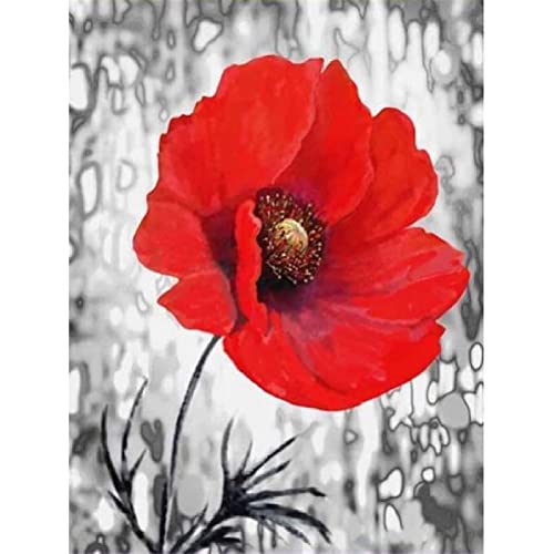 Luxioo Diamond Painting Roter Mohn 5D DIY Diamant Painting Bilder Crystal Strass Stickerei Painting Diamant Malerei Set Kreuzstich, für Home Büro Wall Décor Round Drill,40x50cm von Luxioo