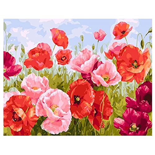 diamond painting Kit Mohnblumen,5D DIY Diamant Painting Set für Erwachsene/Kinder Kristall Strasssteine Stickerei Kreuzstich Kunsthandwerk, Home Wanddekoration Square Drill,50x60cm von Luxioo