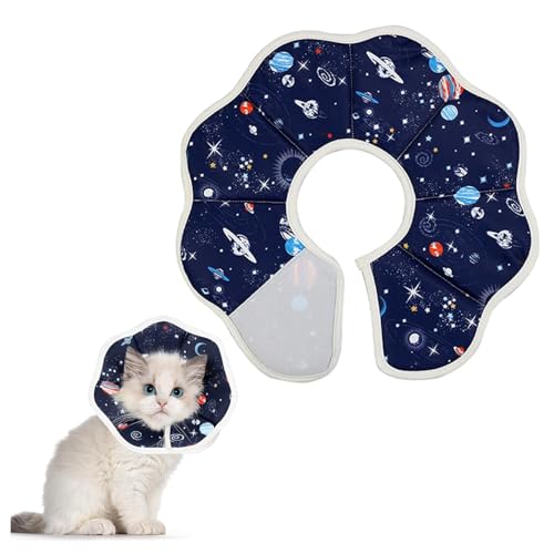 1 Stück Soft Cat Cone Collar Soft Cat Recovery Collars & Cones Pet Recovery Collar Verstellbarer Anti-Lick Cat Recovery Collar Nach der Operation schützender niedlicher kleiner Katze Wundheilung Recov 1 Stück Soft Cat Cone Collar Soft Cat Recovery Collars & Cones Pet Recovery Collar Verstellbarer Anti-Lick Cat Recovery Collar Nach der Operation schützender niedlicher kleiner Katze Wundheilung Recov von Luxiremi