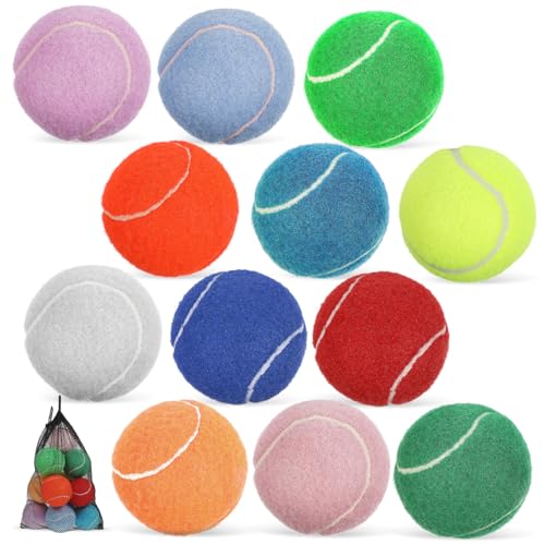Luxshiny 12stücke Hundebälle Aus Gummi Welpen-tennisbälle in Leuchtenden Farben Spielzeug Für Kleine Hunde Und Welpen Mit Netztasche Zum Fangen Und Trainieren von Luxshiny
