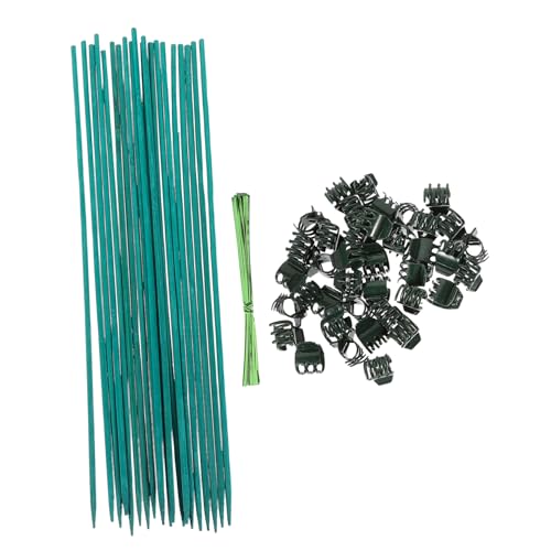Luxshiny 1Satz Garten Pflanzenstütze Set Stäbe mit Clips und Draht für Blumen und Gemüse Robuste Unterstützung für Wachsende Pflanzen für Gartenliebhaber Luxshiny 1Satz Garten Pflanzenstütze Set Stäbe mit Clips und Draht für Blumen und Gemüse Robuste Unterstützung für Wachsende Pflanzen für Gartenliebhaber von Luxshiny