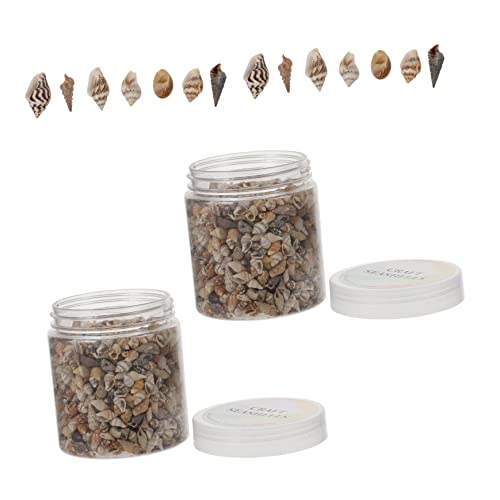 Luxshiny 2 Boxen Natürliche Muschelfüllung für DIY Bastelprojekte Boxen Epoxidharz Füllmaterial für Kreative Ornamente mit Maritimem Thema für Schmuck und Dekoration von Luxshiny