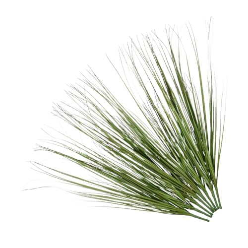Luxshiny 8 Stück künstliches Schilf gefälschtes hohes Gras Künstliche Pflanzen für den Außenbereich künstliche kleine Pflanzen Gefälschte Pflanzen im Innenbereich Faux Greeny Plastik Grün Luxshiny 8 Stück künstliches Schilf gefälschtes hohes Gras Künstliche Pflanzen für den Außenbereich künstliche kleine Pflanzen Gefälschte Pflanzen im Innenbereich Faux Greeny Plastik Grün von Luxshiny