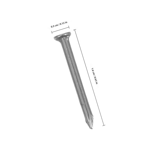 Luxshiny Edelstahl Rundnagel Zementnägel mit Spitzem Nagelkopf Gehärtete Stahlnägel für Zement Holzverarbeitung Heimwerker Vielseitig Leicht Kompakt Einfach zu Verwenden von Luxshiny
