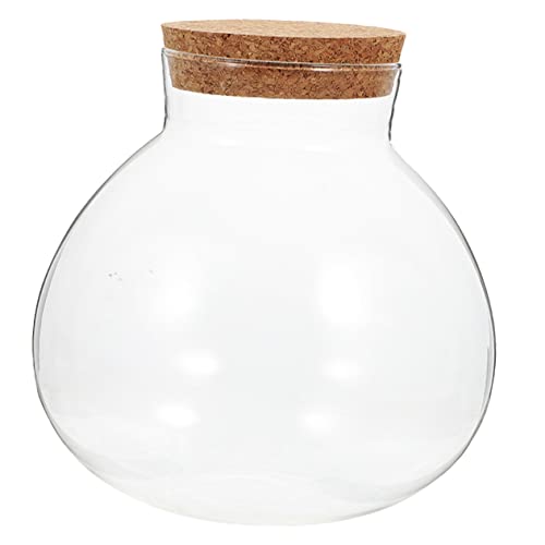 Luxshiny Rundes Terrarium mit Korken Deko Element für Mikrolandschaften Leicht zu Reinigen Transparentes Design für Kreative Arrangements für Feiern von Luxshiny