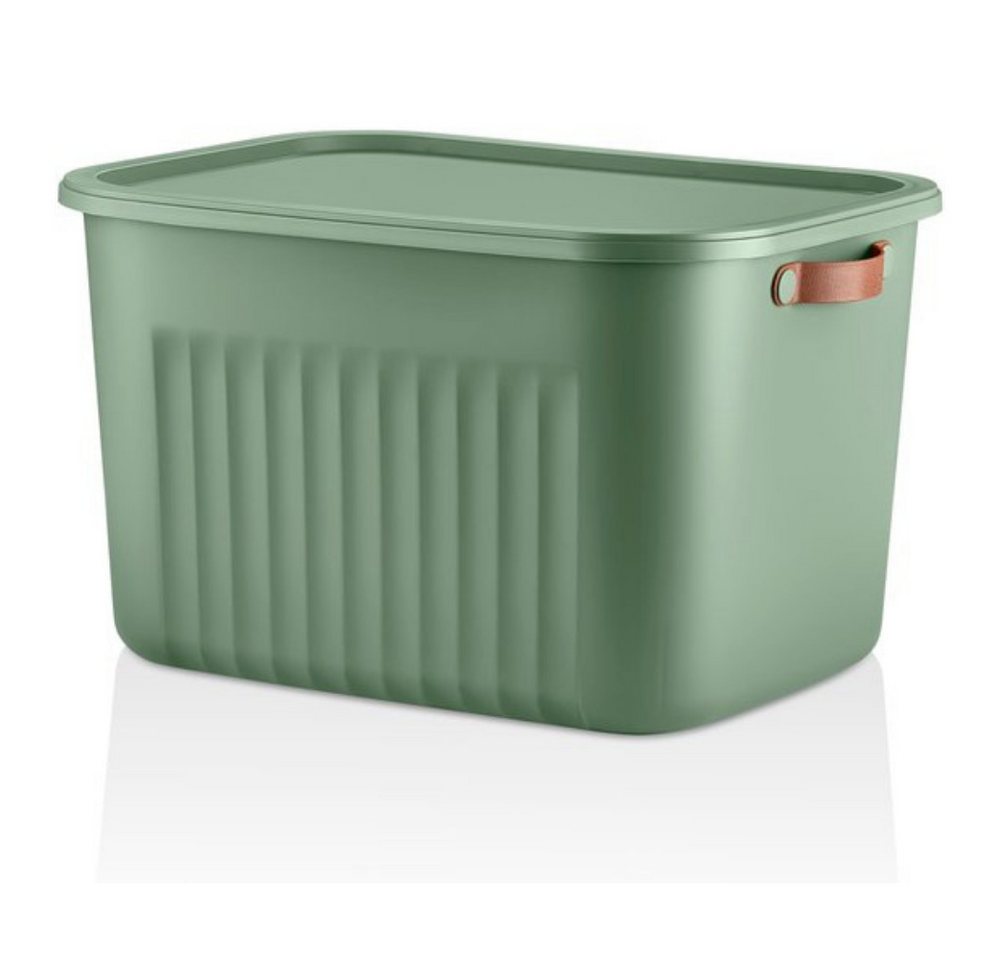 Luxury Bites Aufbewahrungsbox mit Deckel, 20L-15L -10L BPA-freie Kunststoff, nestbar und stapelbar (6 Farben, 9 Farbkombiationen, 3er Set) von Luxury Bites