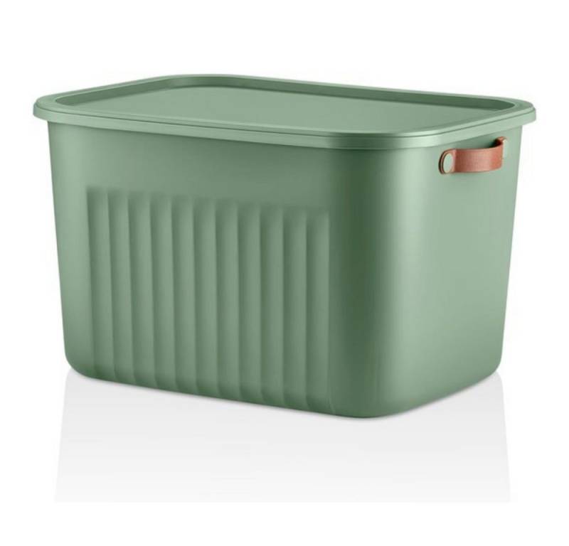 Luxury Bites Aufbewahrungsbox mit Deckel, 20L-15L -10L BPA-freie Kunststoff, nestbar und stapelbar (6 Farben, 9 Farbkombiationen, 3er Set) von Luxury Bites