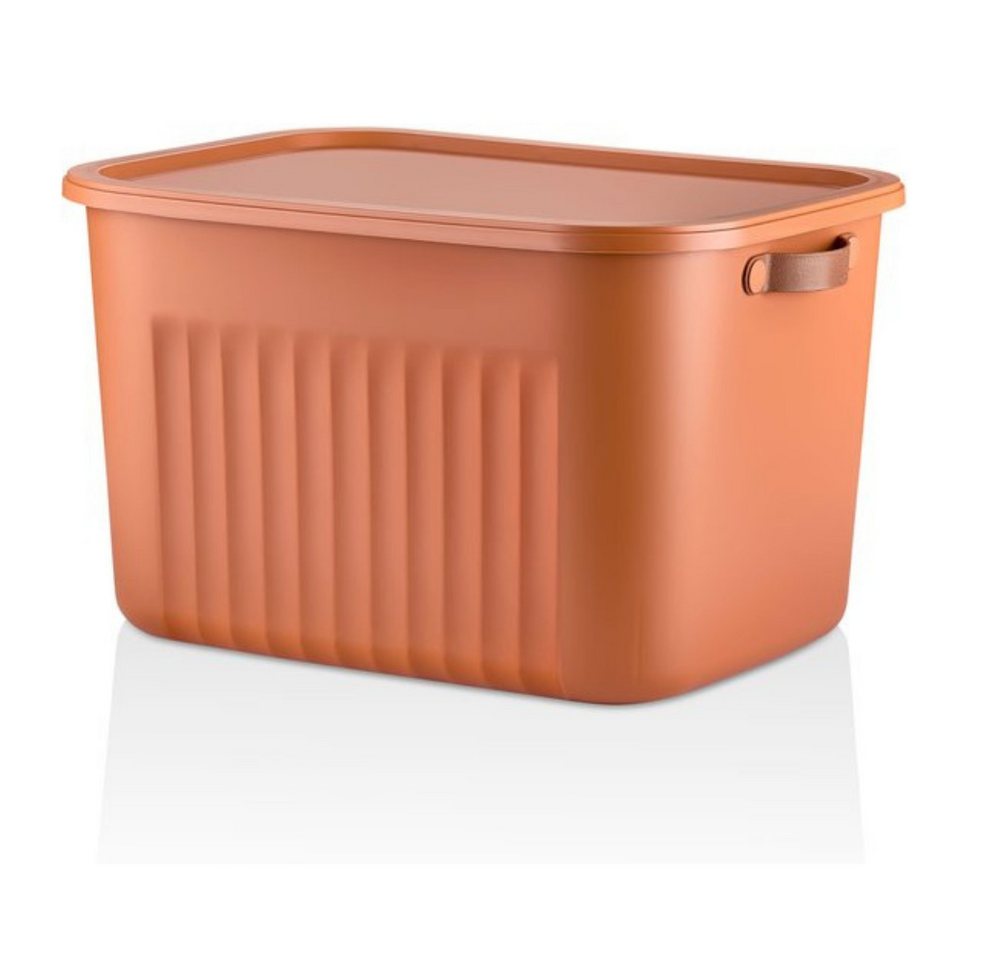 Luxury Bites Aufbewahrungsbox mit Deckel, 20L-15L -10L BPA-freie Kunststoff, nestbar und stapelbar (6 Farben, 9 Farbkombiationen, 3er Set) von Luxury Bites