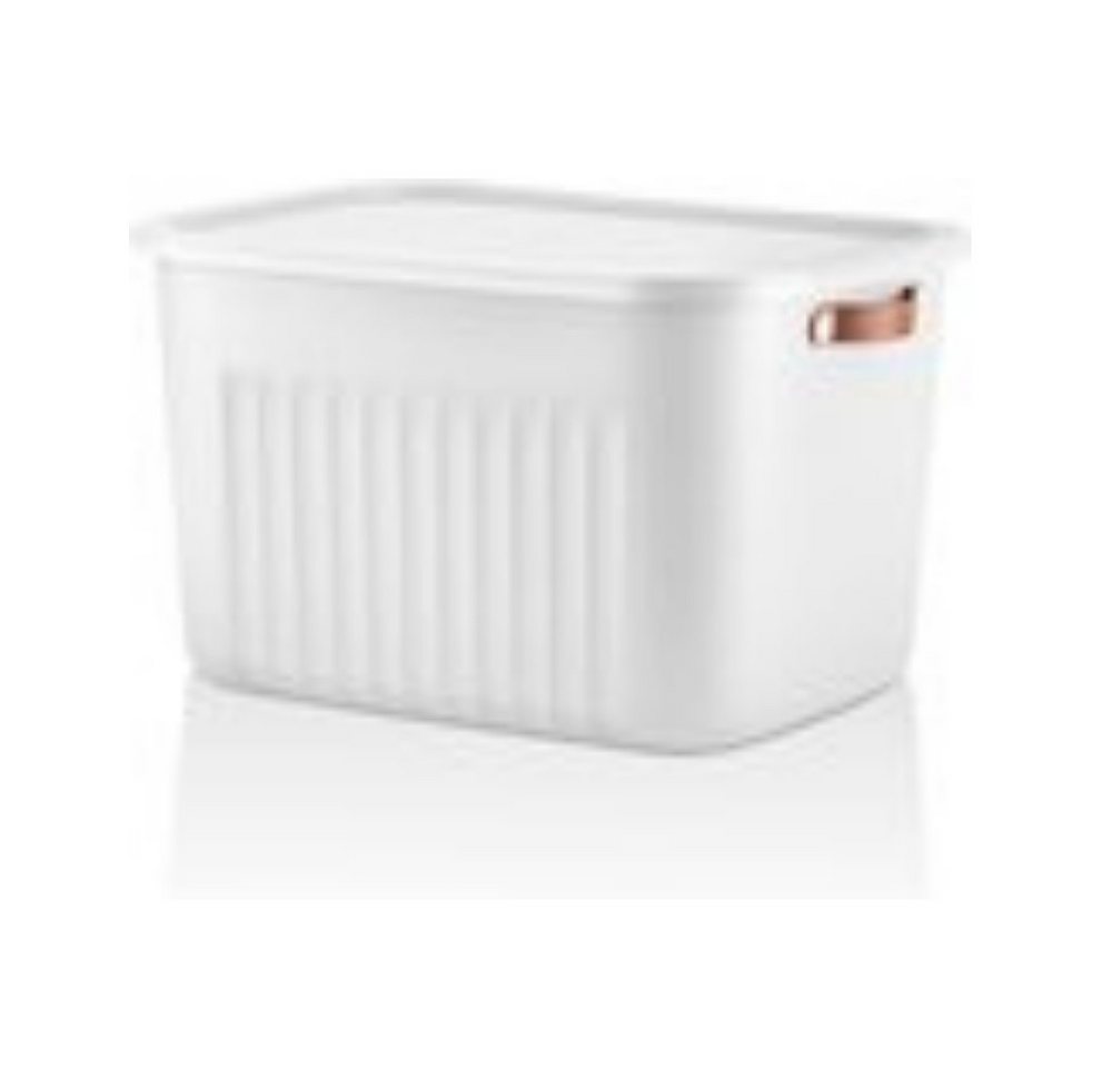 Luxury Bites Aufbewahrungsbox mit Deckel, 20L-15L -10L BPA-freie Kunststoff, nestbar und stapelbar (6 Farben, 9 Farbkombiationen, 3er Set) von Luxury Bites