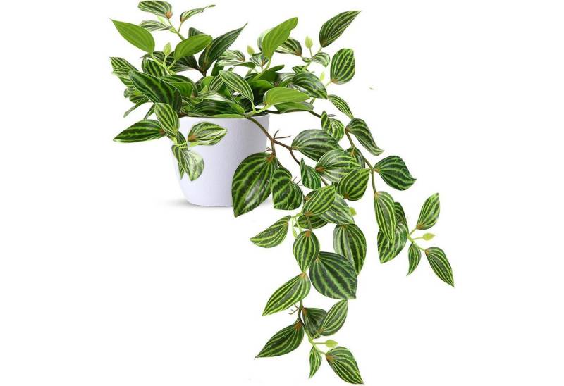 Künstliche Zimmerpflanze Kunstpflanze 25cm Deko Modern Wohnzimmer Balkon Tischdeko 1 Stück weiß, LuxusKollektion Künstliche Zimmerpflanze Kunstpflanze 25cm Deko Modern Wohnzimmer Balkon Tischdeko 1 Stück weiß, LuxusKollektion von LuxusKollektion