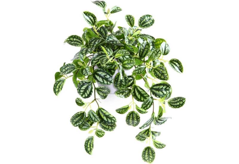 Künstliche Zimmerpflanze Kunstpflanze 38cm Deko Wohnzimmer Balkon Tischdeko 1 Stück dunkelgrün, LuxusKollektion Künstliche Zimmerpflanze Kunstpflanze 38cm Deko Wohnzimmer Balkon Tischdeko 1 Stück dunkelgrün, LuxusKollektion von LuxusKollektion