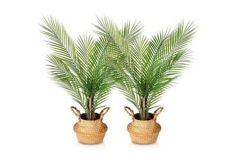 Kunstpalme Kunstpflanze Areca Palme Kunstpalme Topf Plastik Dekor 80cm 2Pack, LuxusKollektion von LuxusKollektion