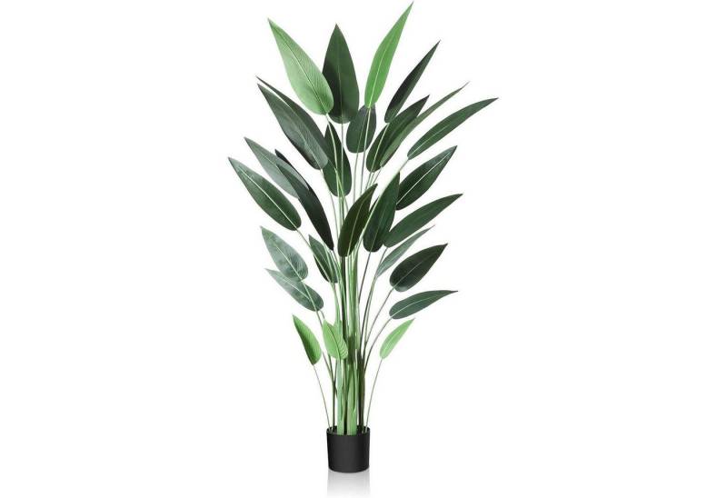Kunstpalme Lilienbaum Künstlich 180cm Plastik Topf Indoor Outdoor 1 182.9 cm, LuxusKollektion von LuxusKollektion