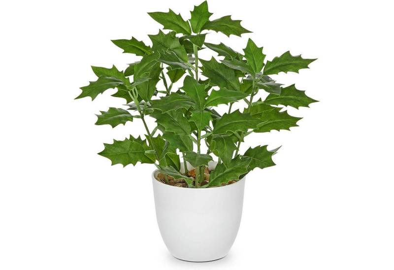 LuxusKollektion Blumenampel Kunstpflanze Ficus Topf Fensterbank Wohnzimmer Grün Holly Leaves von LuxusKollektion