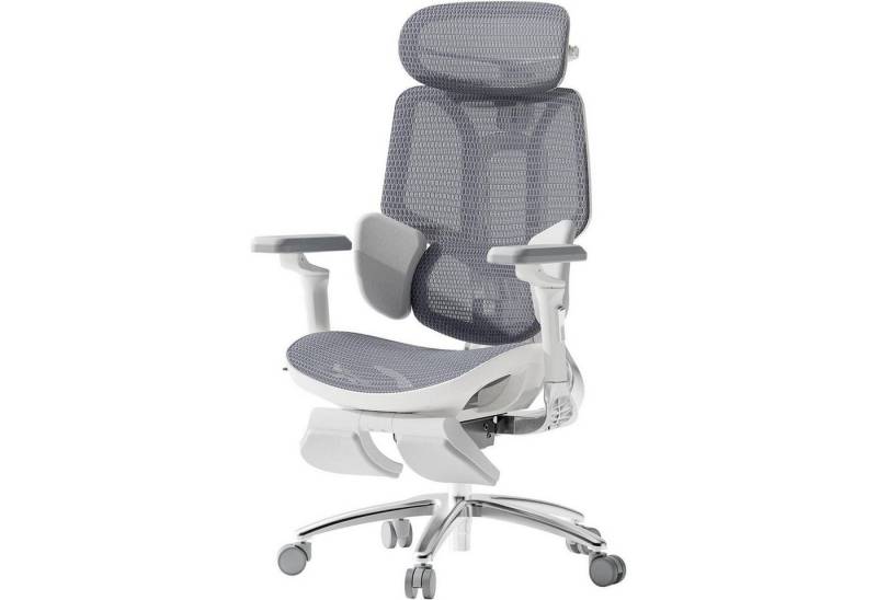 LuxusKollektion Bürostuhl Ergonomischer Bürostuhl 3-Zonen-Lendenstütze 4D-Kopfstütze Grau LuxusKollektion Bürostuhl Ergonomischer Bürostuhl 3-Zonen-Lendenstütze 4D-Kopfstütze Grau von LuxusKollektion