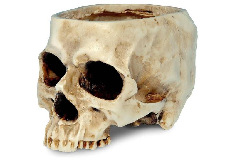LuxusKollektion Dekofigur Blumentopf Totenkopf Topf von LuxusKollektion