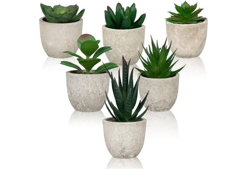 LuxusKollektion Dekohänger Kunstpflanzen Set 6 Sukkulenten Künstlich Klein grün im Topf von LuxusKollektion