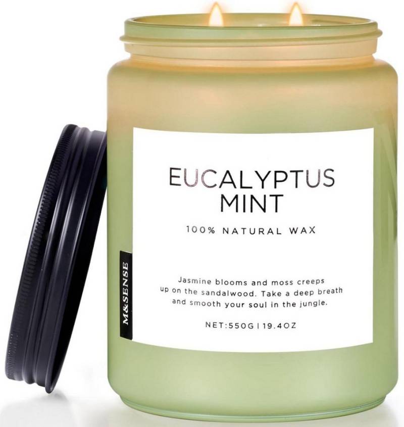 M&SENSE Duftkerze Duftkerze Eukalyptus Minze 550g 90 Std. brennend 2 Docht Glas von M&SENSE
