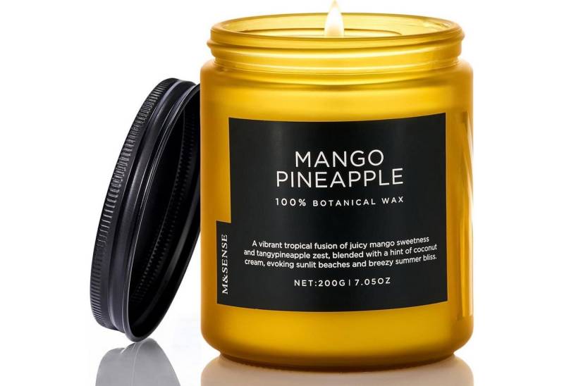 LuxusKollektion Duftkerze Duftkerze Mango Ananas Tropen Fruchtduft 200g 50h Mangoananas 200g LuxusKollektion Duftkerze Duftkerze Mango Ananas Tropen Fruchtduft 200g 50h Mangoananas 200g von LuxusKollektion