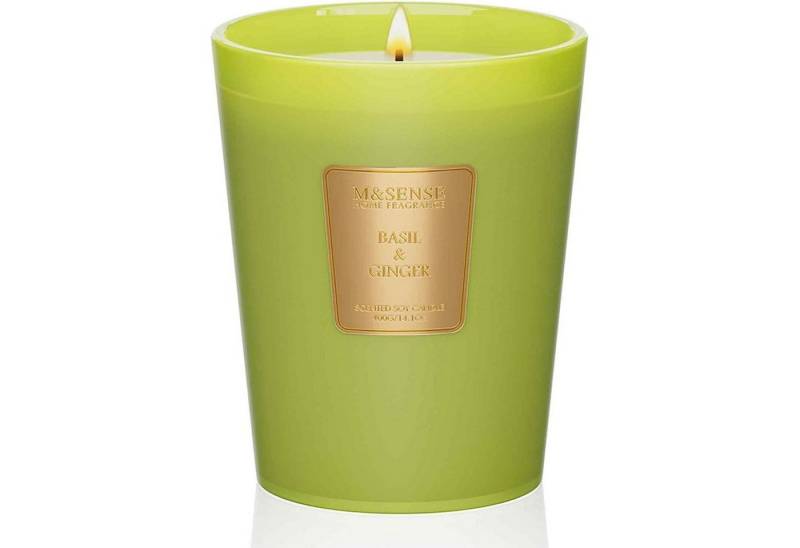 LuxusKollektion Duftkerze Duftkerze Sojawachs Basilikum Ingwer 75Std Küche 400g Basilikum-ginger LuxusKollektion Duftkerze Duftkerze Sojawachs Basilikum Ingwer 75Std Küche 400g Basilikum-ginger von LuxusKollektion