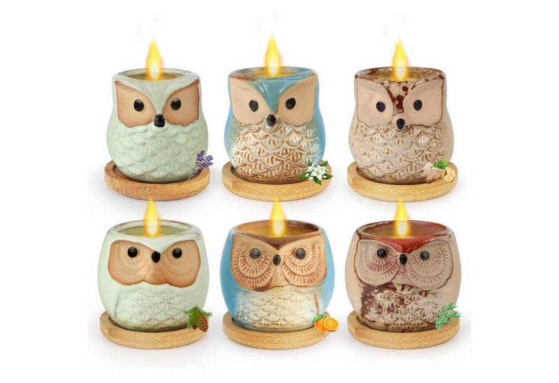 LuxusKollektion Duftkerze Duftkerzen 6er Set Eulen Geschenkbox Sojawachs Mischen duftend von LuxusKollektion