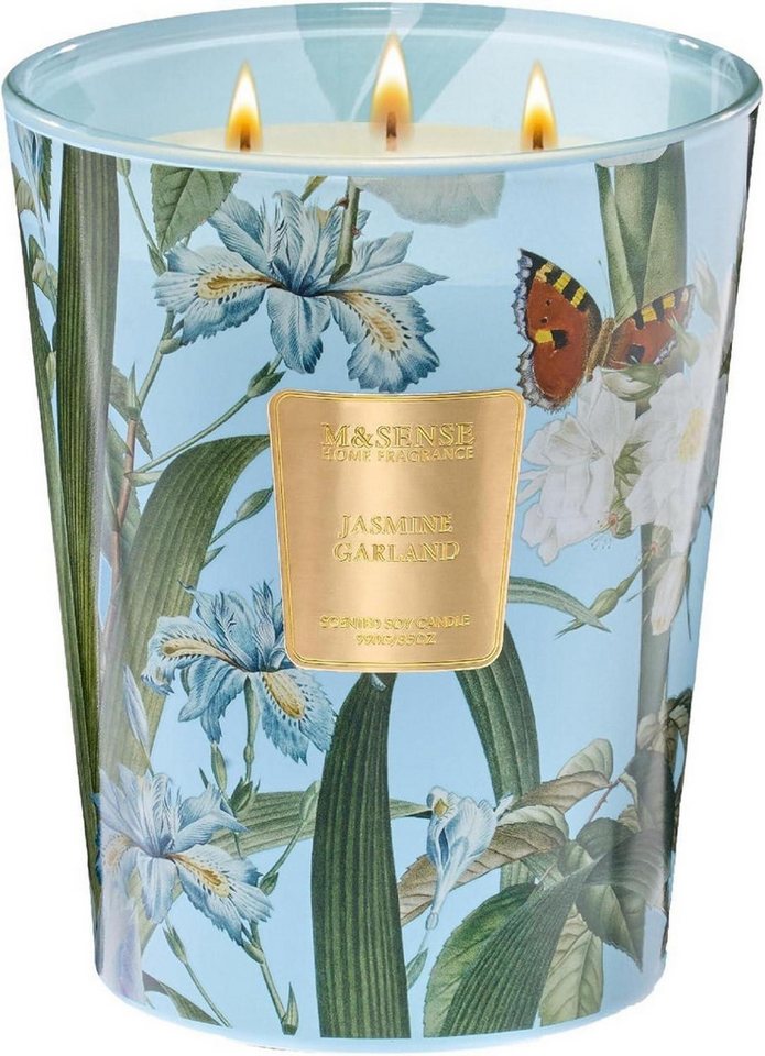 M&SENSE Duftkerze Jasmin Duftkerze groß im Glas 3 Dochte 990g 150h natürliche Sojakerze M&SENSE Duftkerze Jasmin Duftkerze groß im Glas 3 Dochte 990g 150h natürliche Sojakerze von M&SENSE