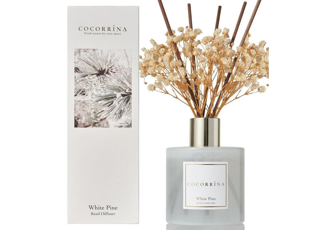 LuxusKollektion Duftkerze Raumduft Diffuser Duftstäbchen Badezimmer Regal Weiße Kiefer 200ml von LuxusKollektion