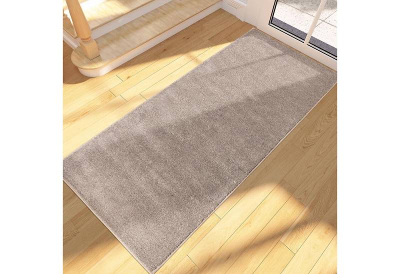FCSDETAIL Fußmatte Schmutzfangmatte Innen Lang 60x150 cm rutschfeste waschbare Fußmatte von FCSDETAIL