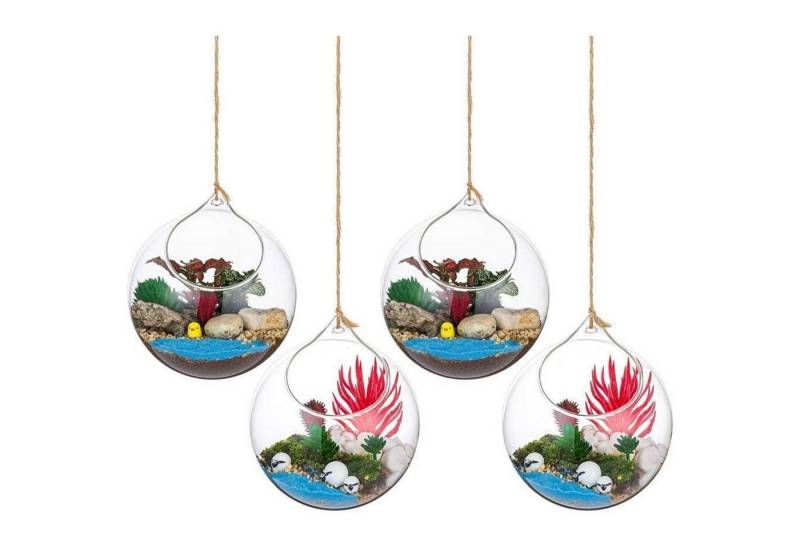 LuxusKollektion Gläser-Set Vase hängende Glaskugel Sukkulenten Terrarium 12cm 4Pcs clear LuxusKollektion Gläser-Set Vase hängende Glaskugel Sukkulenten Terrarium 12cm 4Pcs clear von LuxusKollektion