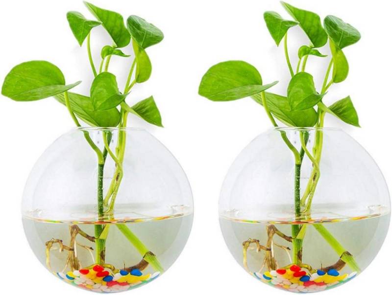 LuxusKollektion Gläser-Set Wandbehang Glas Pflanzgefäße 2Stk. Sphärische Form Terrarium Vase von LuxusKollektion