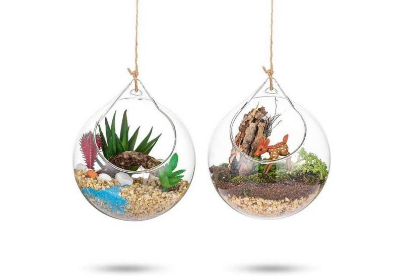 LuxusKollektion Glas Hängende Glaskugel Vase 2 Pcs Große Öffnung Sukkulenten Terrarium 4 LuxusKollektion Glas Hängende Glaskugel Vase 2 Pcs Große Öffnung Sukkulenten Terrarium 4 von LuxusKollektion