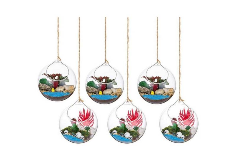 LuxusKollektion Glas Hängende Glaskugel Vase Sukkulenten Terrarium 12cm 6Pcs clear LuxusKollektion Glas Hängende Glaskugel Vase Sukkulenten Terrarium 12cm 6Pcs clear von LuxusKollektion