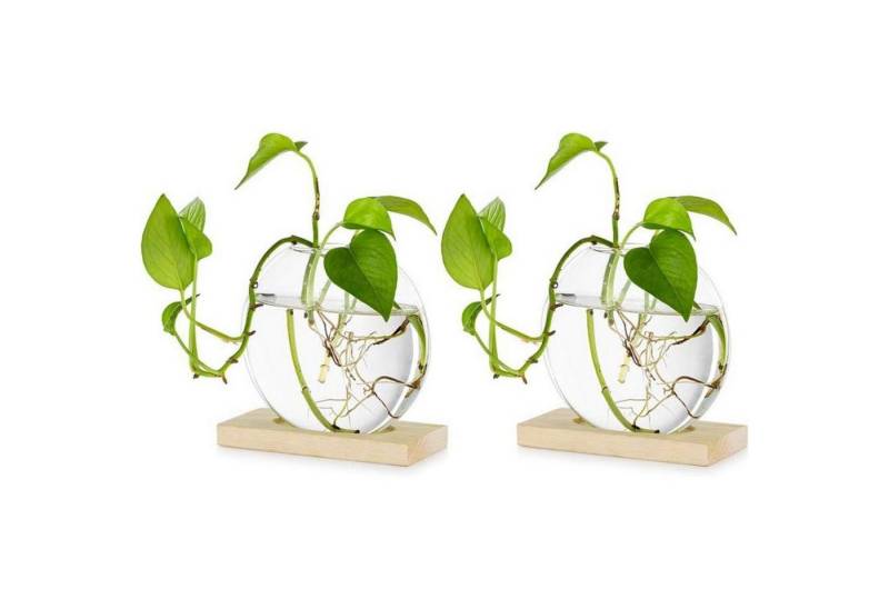 LuxusKollektion Glas Pflanzer Glas Vase Holz Hydroponik Stecklinge Licht 2 von LuxusKollektion