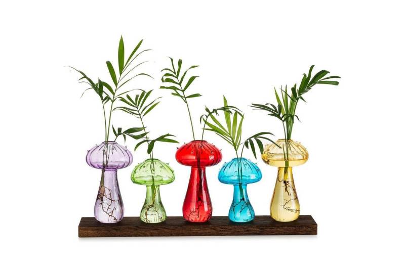 LuxusKollektion Glas Pilzmotiv Glasvase 5er Set bunt - Blumenvasen modern & klein LuxusKollektion Glas Pilzmotiv Glasvase 5er Set bunt - Blumenvasen modern & klein von LuxusKollektion