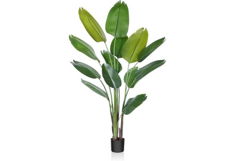 LuxusKollektion Hängedekoration Künstliche Paradiesvogel Pflanze 180cm Tropische Palme 13 Blätter Topf von LuxusKollektion