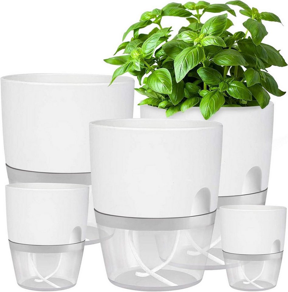 LuxusKollektion Kräutertopf Blumentopf Kräutertopf Küche Set Bewässerungssystem 5er-Set LuxusKollektion Kräutertopf Blumentopf Kräutertopf Küche Set Bewässerungssystem 5er-Set von LuxusKollektion
