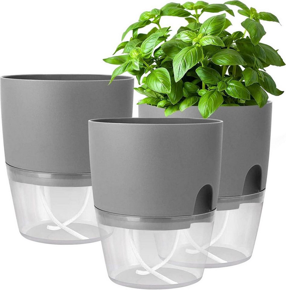 LuxusKollektion Kräutertopf Kräutertopf Set selbstbewässernd 3er Küche Fensterbank 18.2x11x15.3cm LuxusKollektion Kräutertopf Kräutertopf Set selbstbewässernd 3er Küche Fensterbank 18.2x11x15.3cm von LuxusKollektion