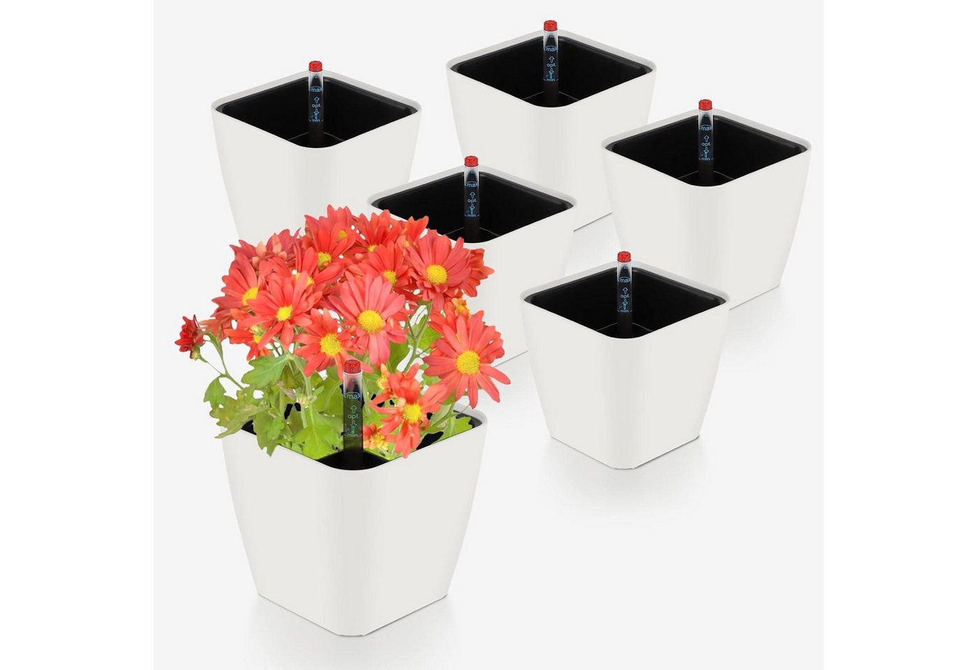 LuxusKollektion Kräutertopf Selbstbewässerungstopf mit Wasserstandsanzeige, Kräutertopf LuxusKollektion Kräutertopf Selbstbewässerungstopf mit Wasserstandsanzeige, Kräutertopf von LuxusKollektion