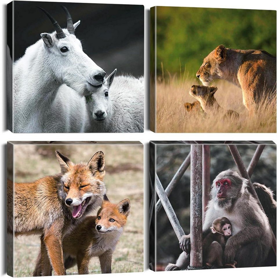 Artscope Mehrteilige Bilder 4er Set Leinwandbilder Tiere Afrikanische Savanne 30x30cm von Artscope